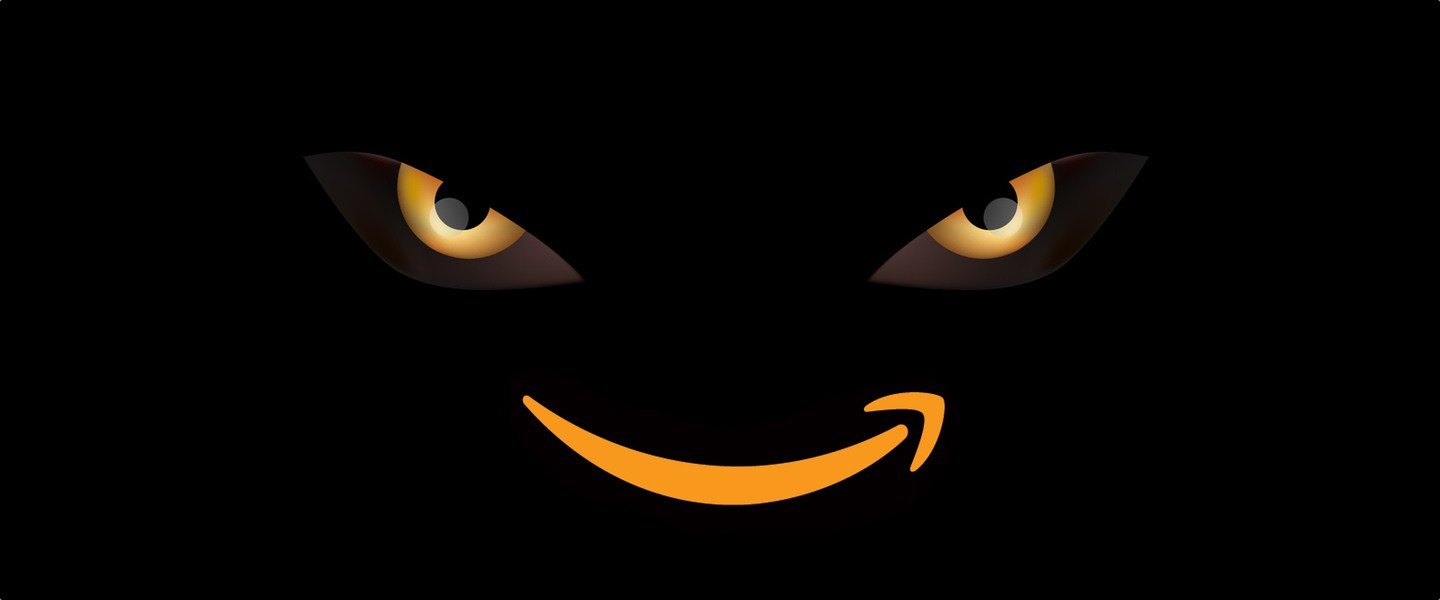 ./assets/pictures/amazon2.jpg